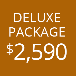 >The Deluxe Package $2,590