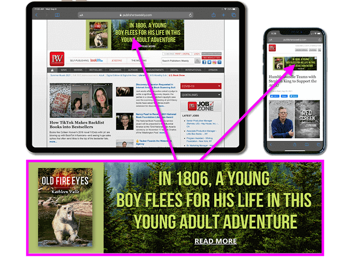 example of BookBaby's Google ads for books