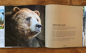 Printed books