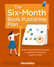 The Six-Month Book Publishing Plan