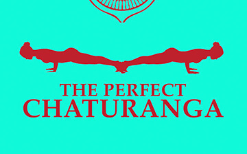 The Perfect Chaturanga by Jennilee Toner