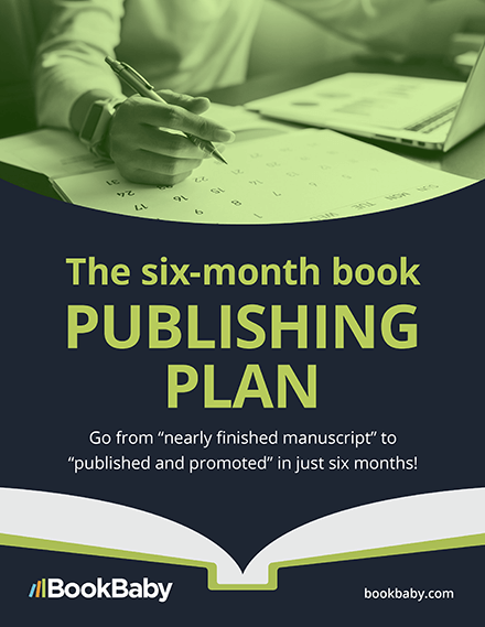 cover of The Six-Month Book Publishing Plan