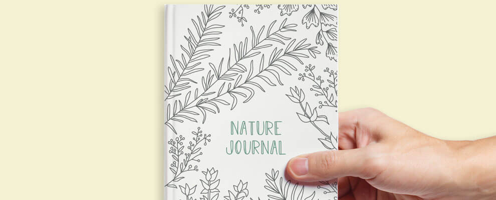 cover of a workbook published with BookBaby