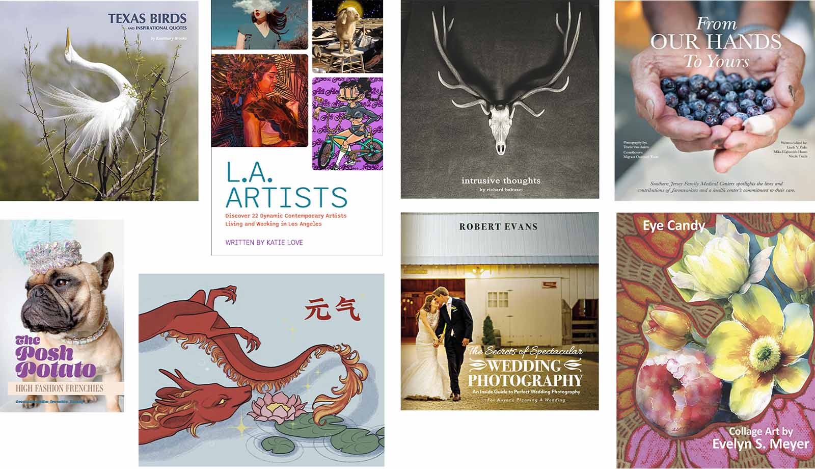 Photography and art books printed and published by BookBaby