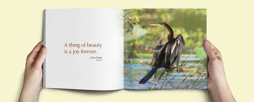 art book